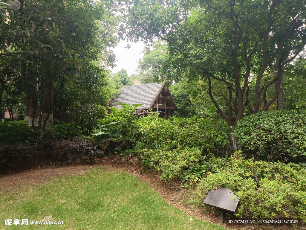 静谧庭院绿植环绕景致