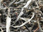 古树 冰岛 普洱茶 云南毛茶