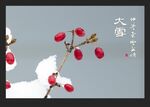 大雪时节红果枝头美景