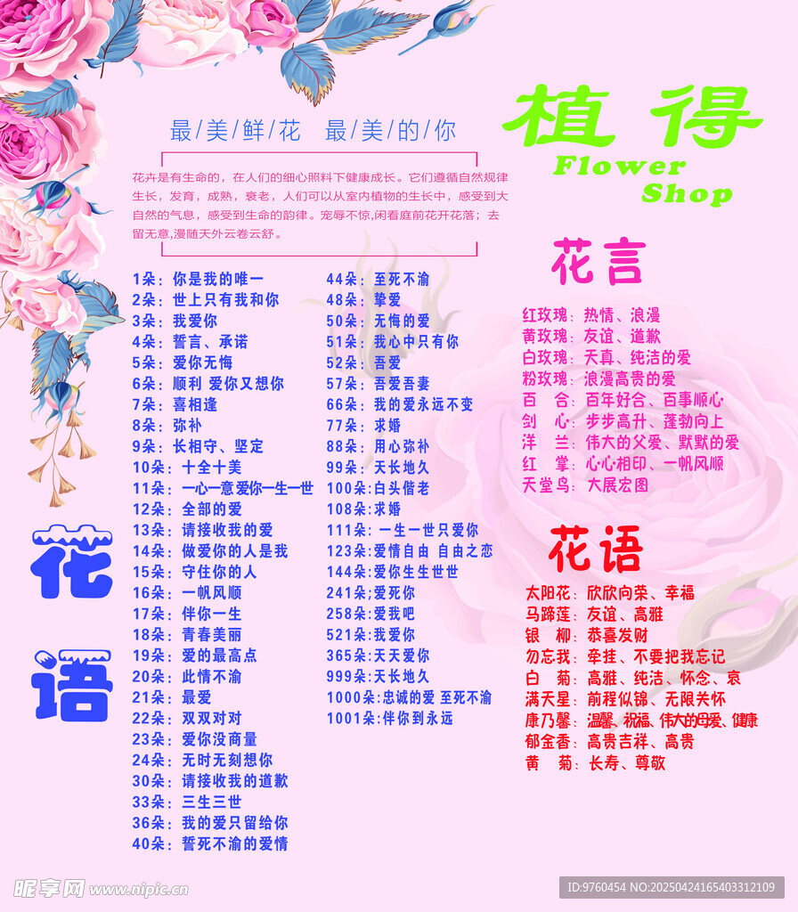 玫瑰花花语