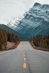 公路伸向雪山森林美景