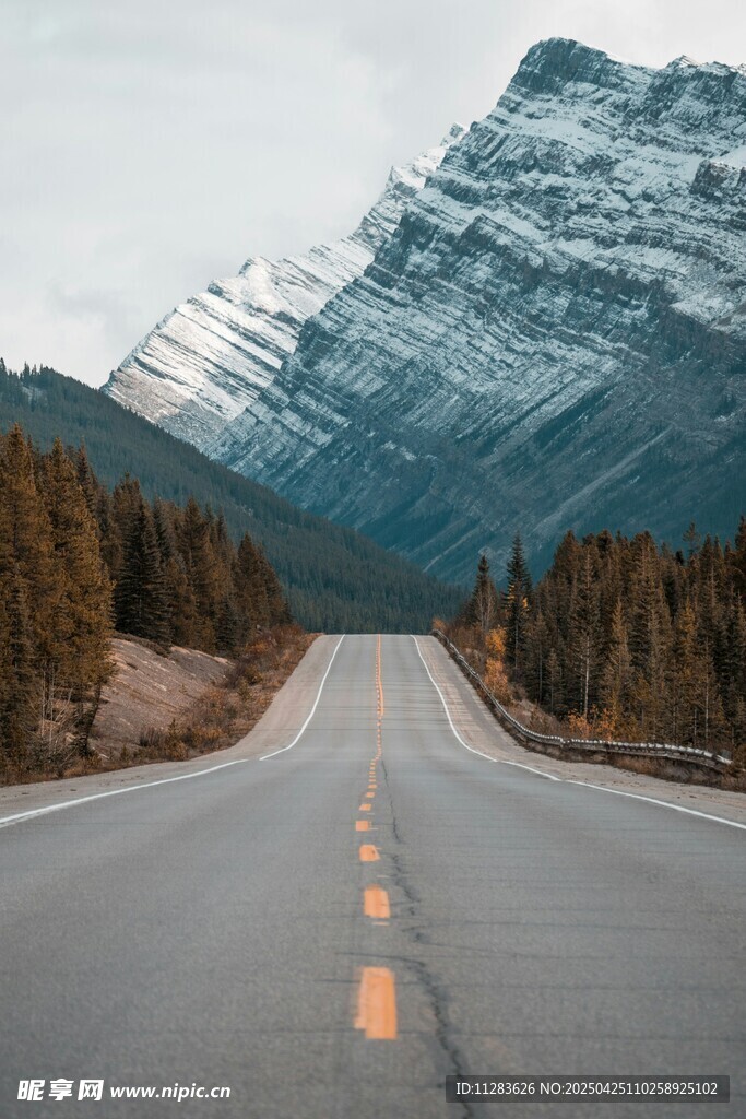公路伸向雪山森林美景
