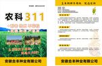 玉米单页 彩页图片