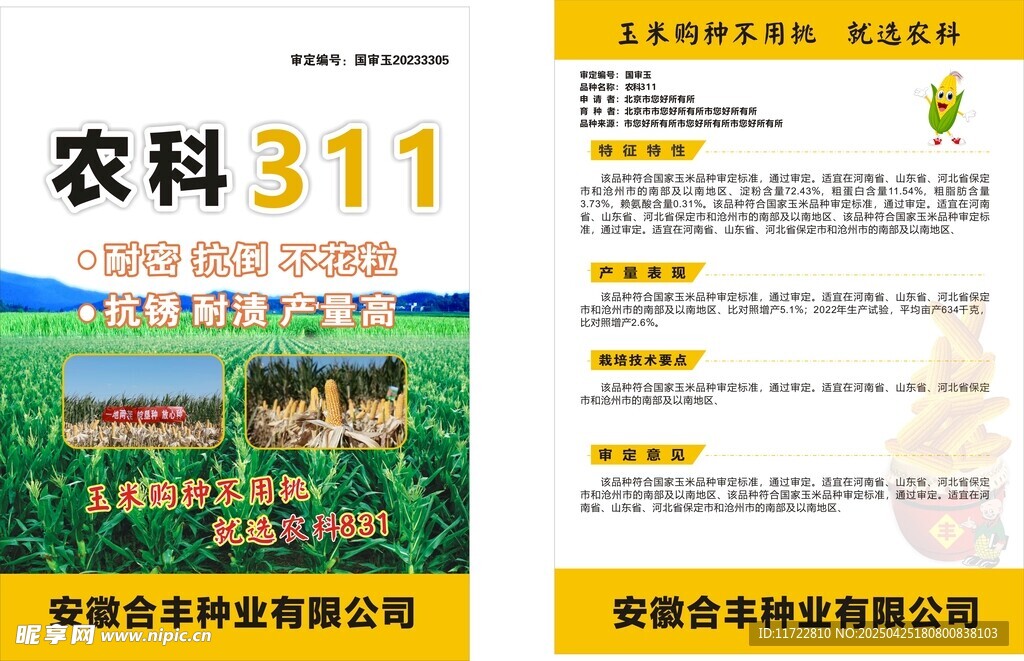 玉米单页 彩页图片