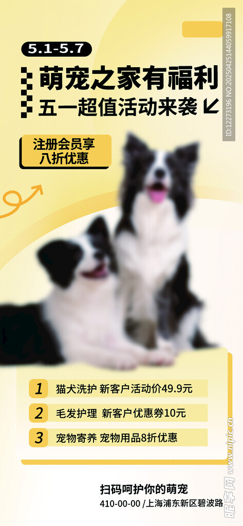 宠物训练之狗狗福利课程