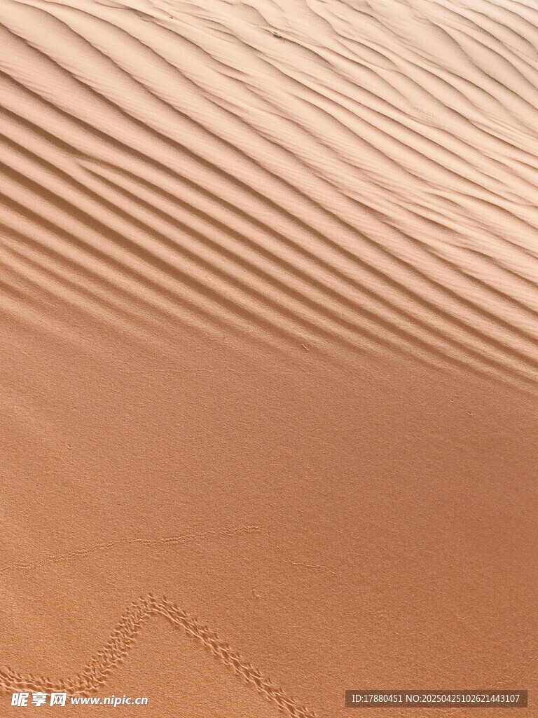 沙漠