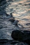 水面波纹