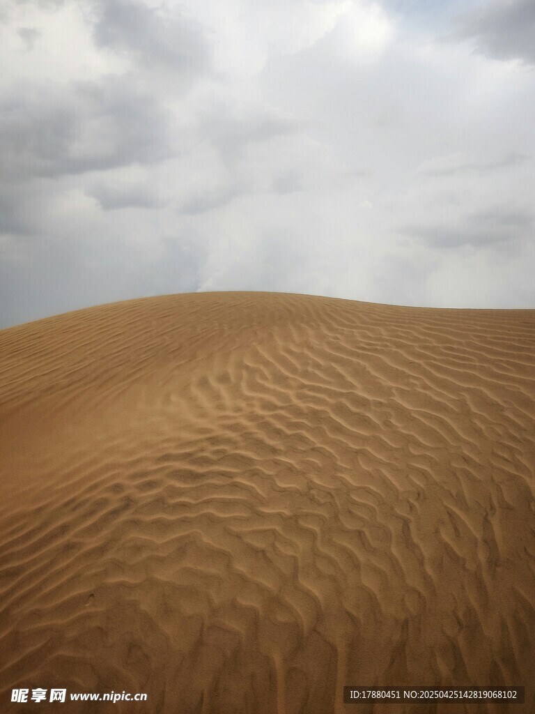 广袤沙漠与阴沉天空