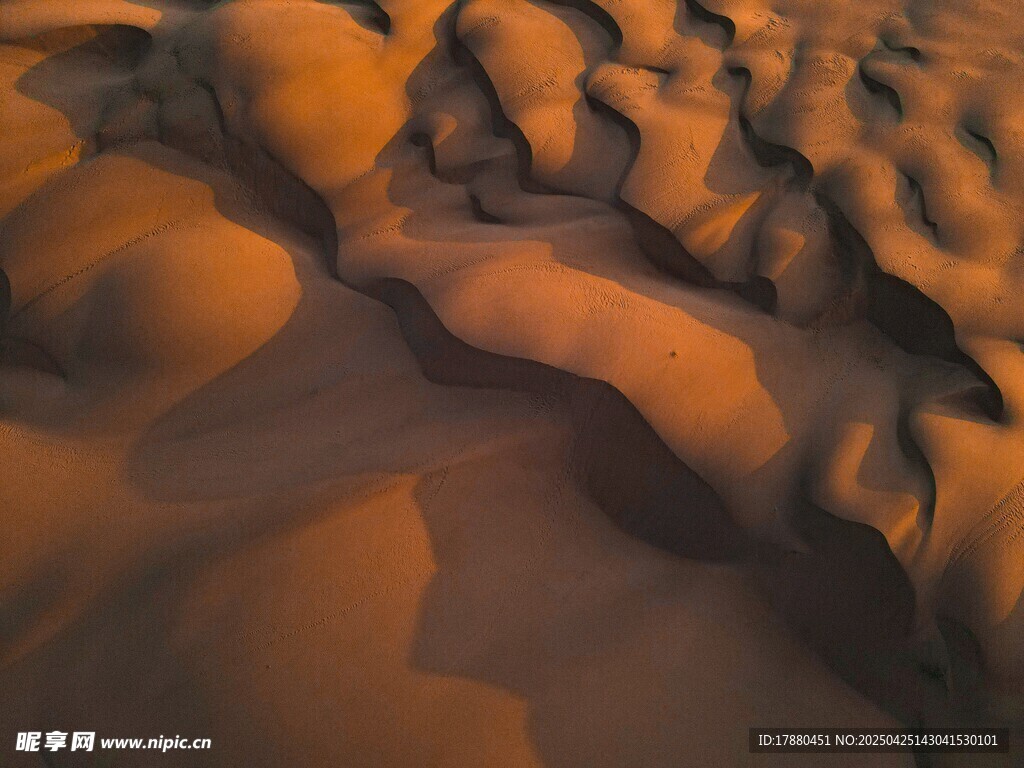 沙漠沙丘景观