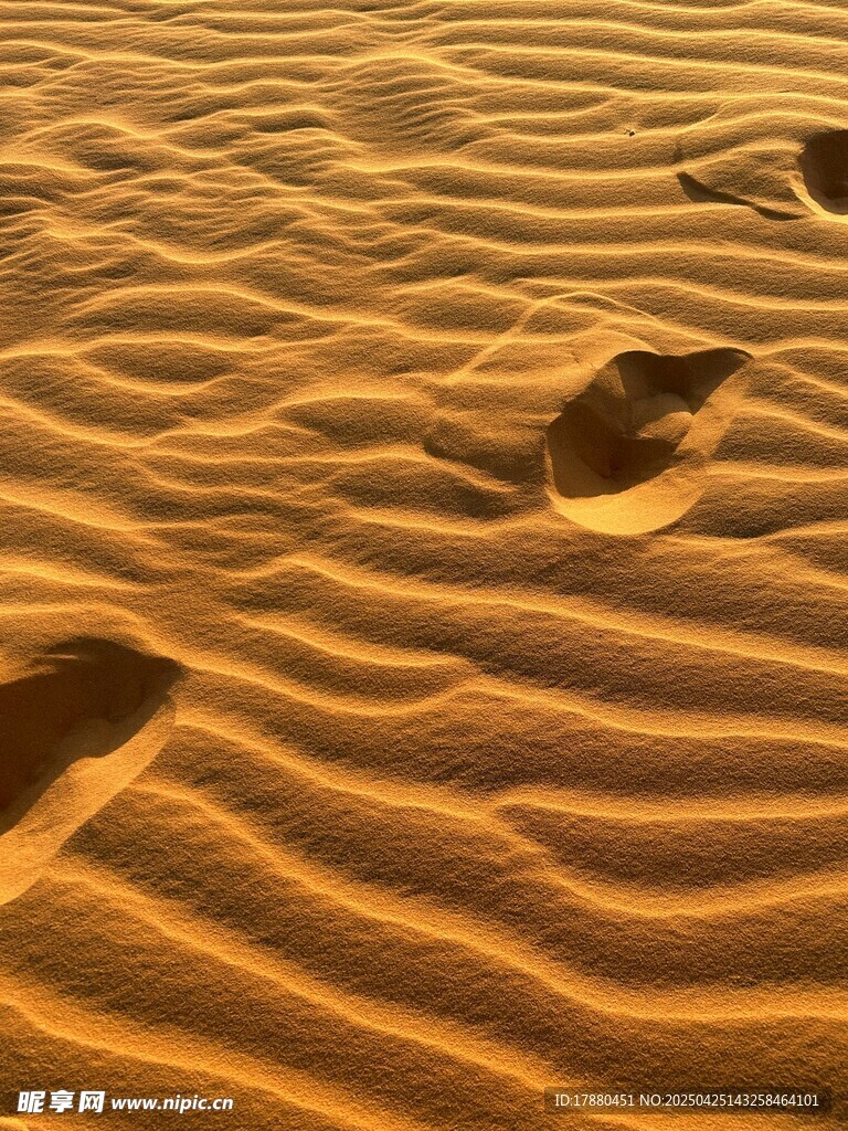 沙漠中的脚印