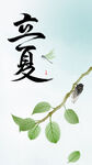 立夏