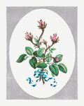 手绘花卉图案