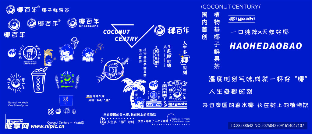 椰子海报