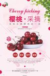 樱桃海报