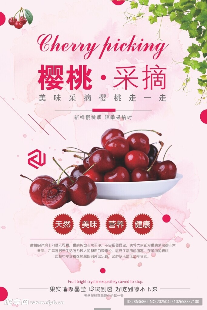 樱桃海报