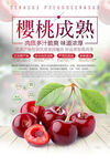 樱桃海报