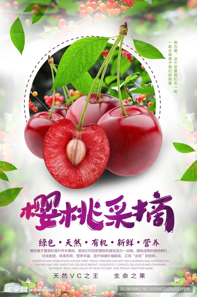 樱桃海报