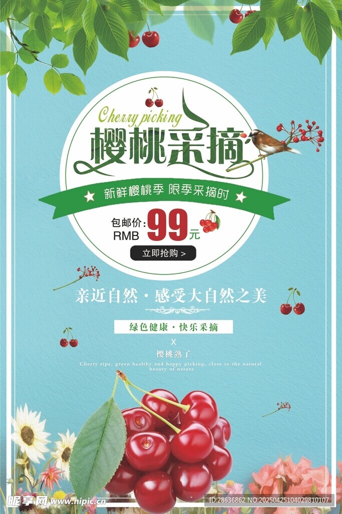 樱桃海报