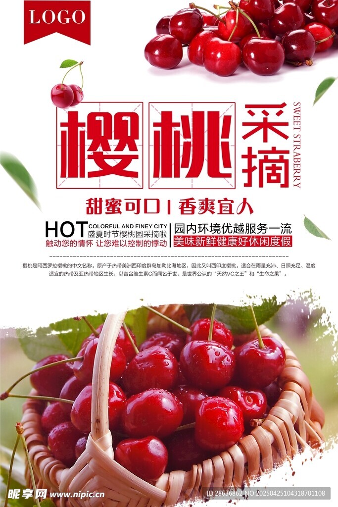 樱桃海报