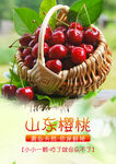 樱桃海报