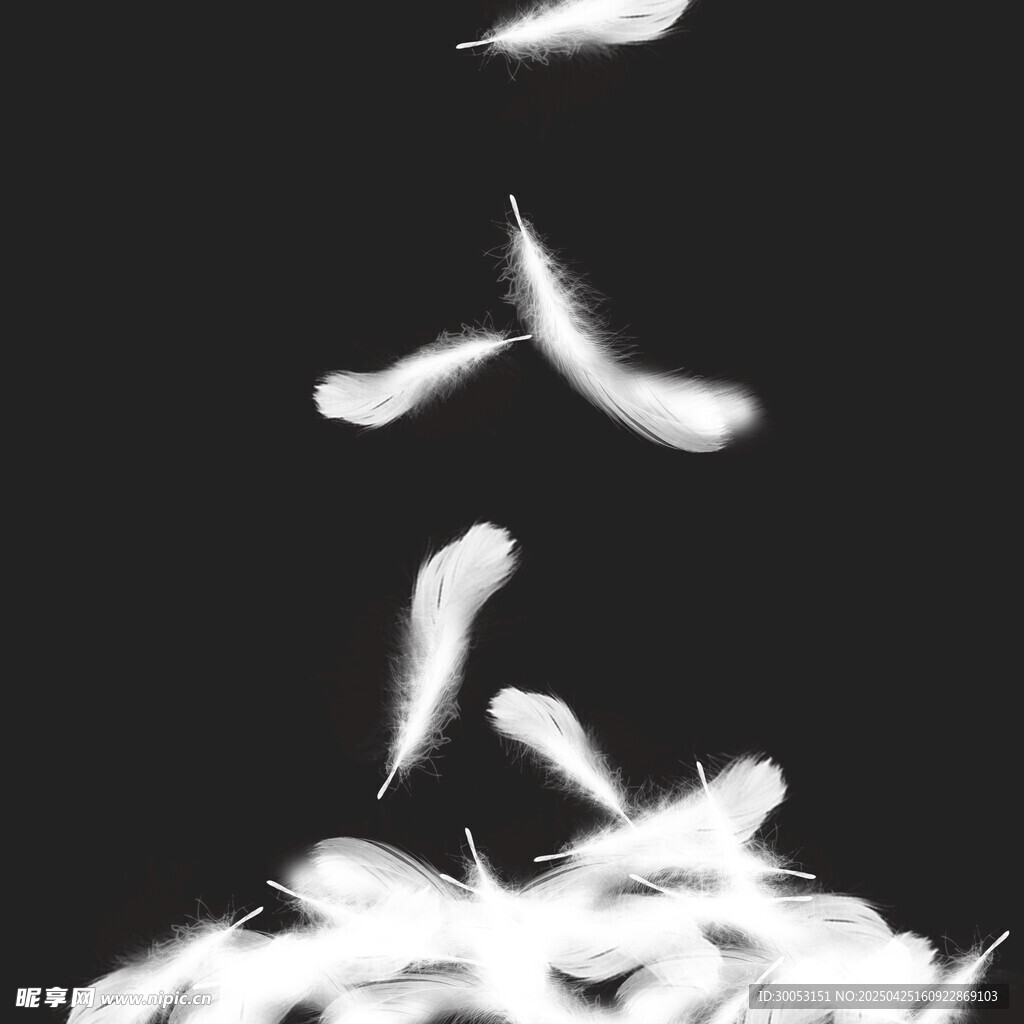 轻盈羽毛飘落的唯美瞬间