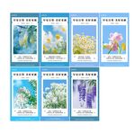 一周每日签到朋花卉插画卡片展示