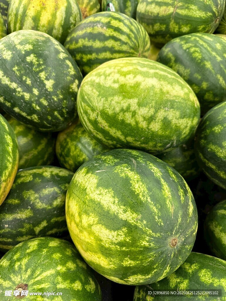 一堆新鲜的条纹西瓜