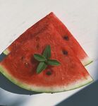 新鲜西瓜切片带绿叶点缀