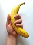 手握着一根黄色香蕉
