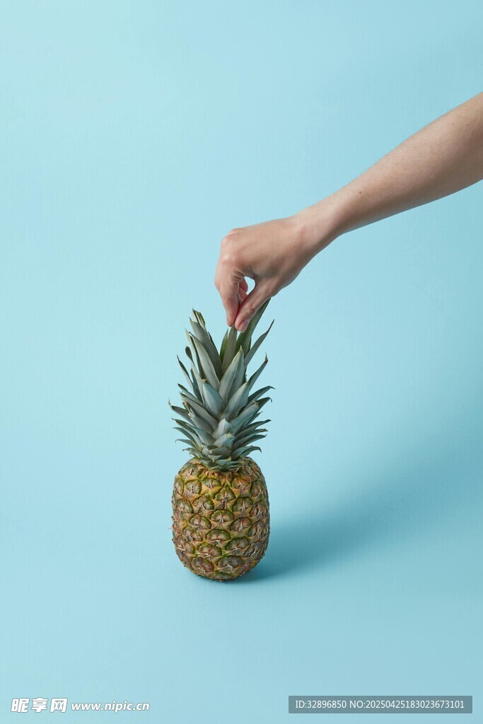 手触菠萝