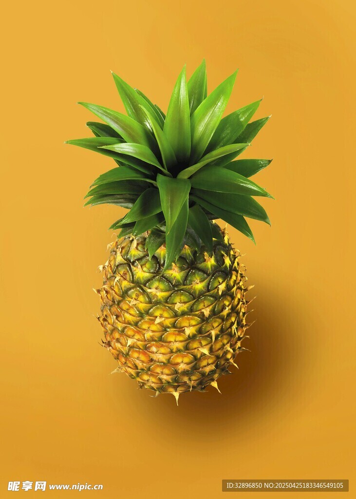 黄色背景上的新鲜菠萝