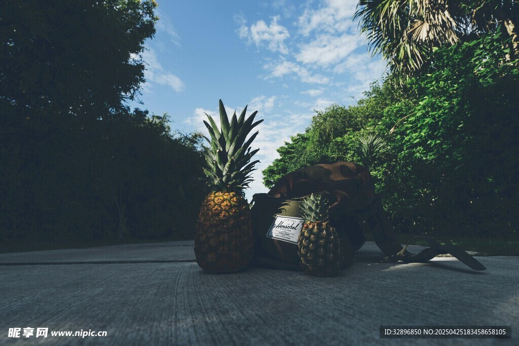 路上的菠萝与摩托车