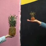 大小菠萝对比展示