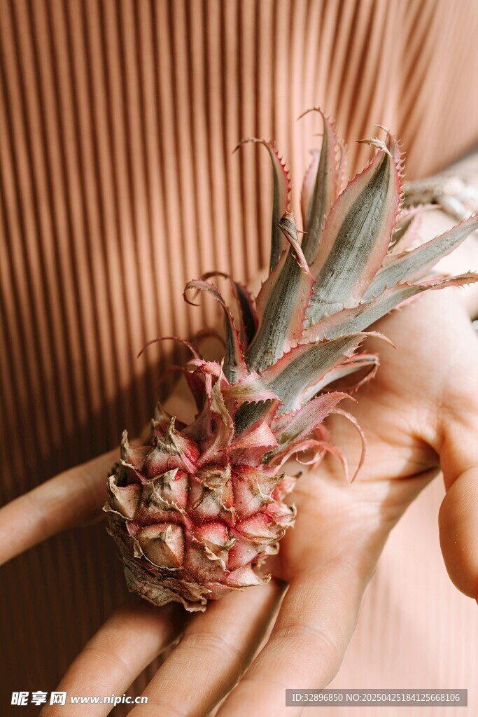 手捧新鲜小菠萝
