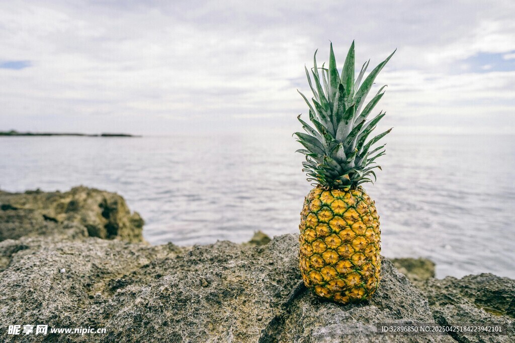 海边岩石上的金黄菠萝