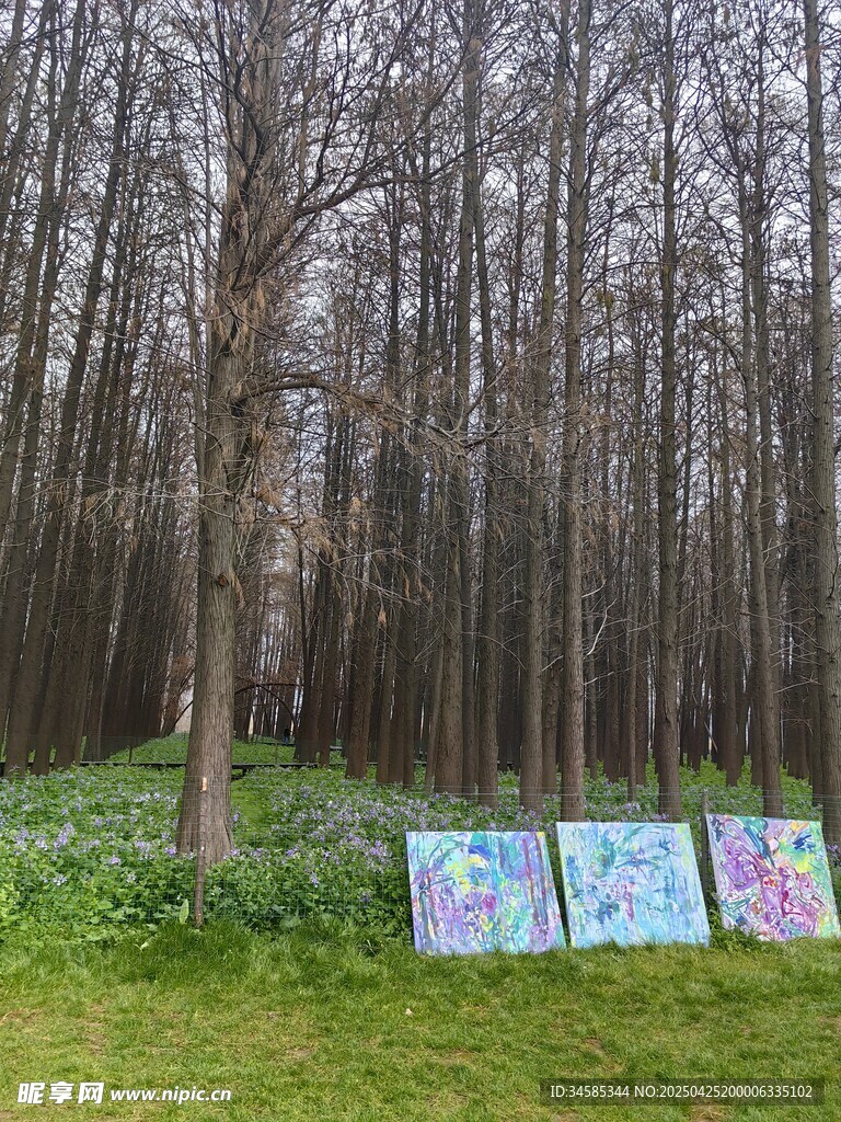 林间多彩画板展示自然之美