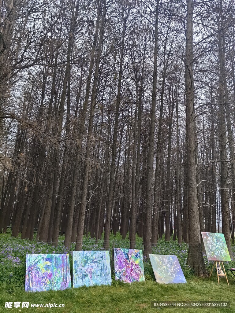 林间画作展示