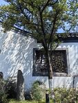 中式庭院一角的古朴景致