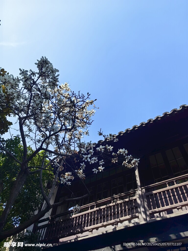 古建旁繁花盛开的景致