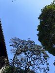 蓝天绿树古建筑一角