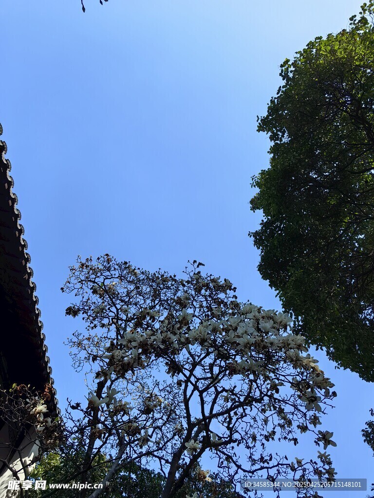 蓝天绿树古建筑一角
