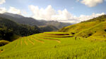 山间梯田美景