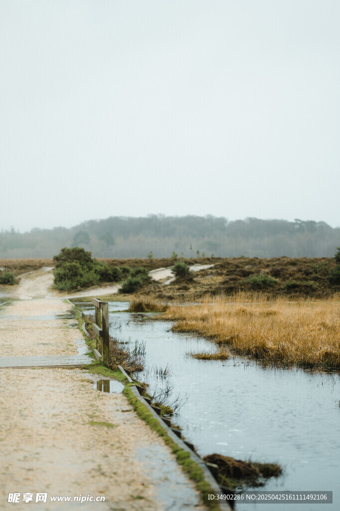 乡间河畔小路风景