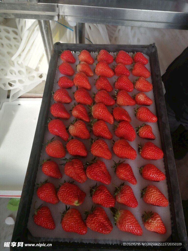 盒装新鲜草莓整齐排列