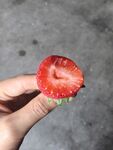 手捧半颗鲜红草莓