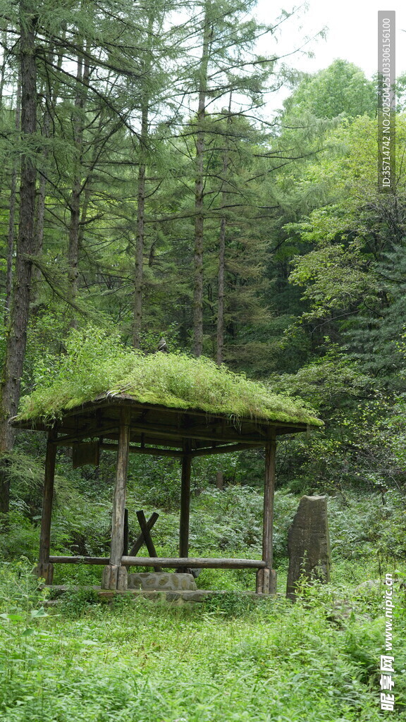 林间草亭