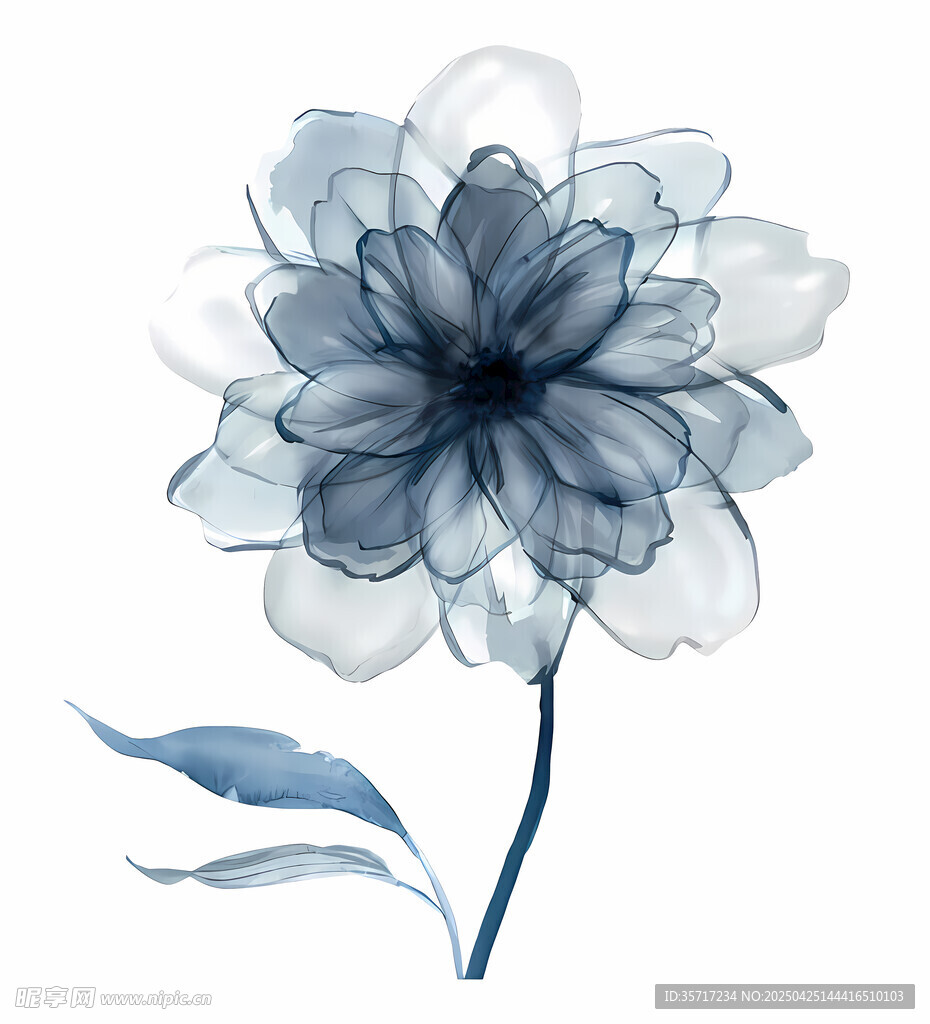 蓝色水彩花朵插画