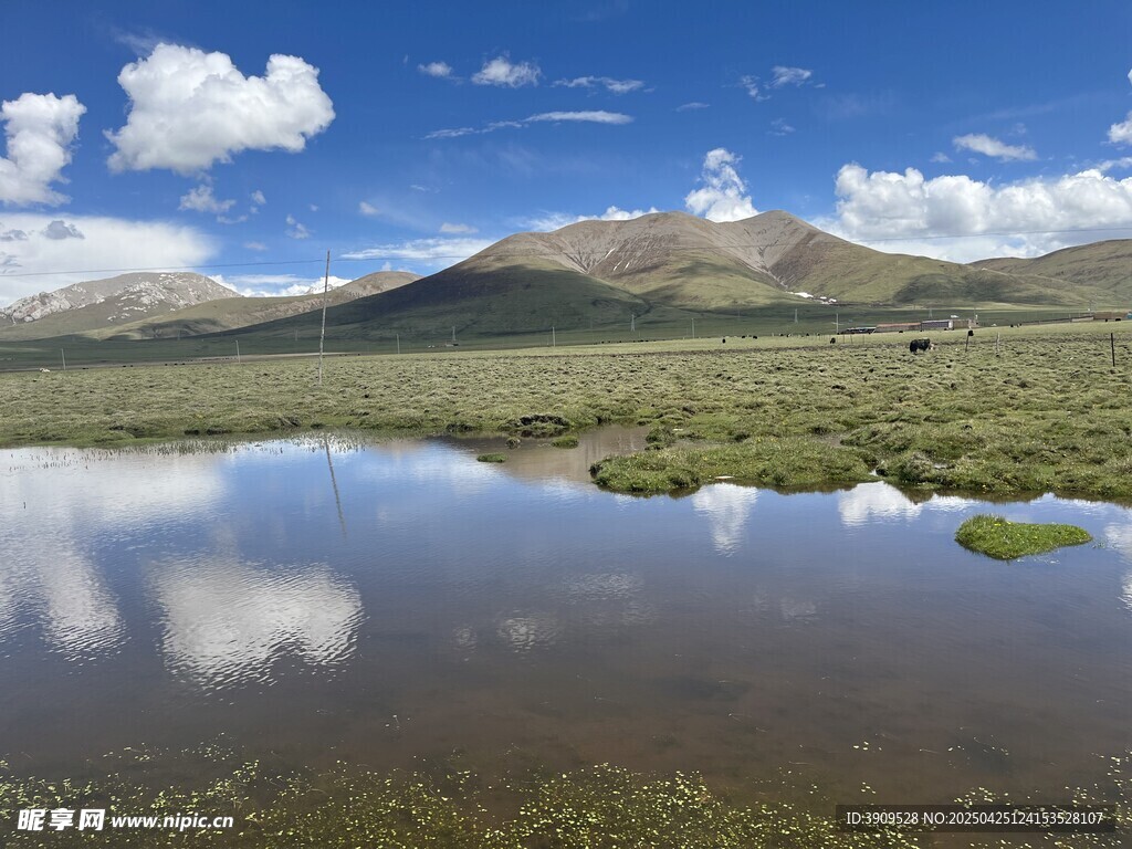 玉树湿地宁静山水间的美丽倒影