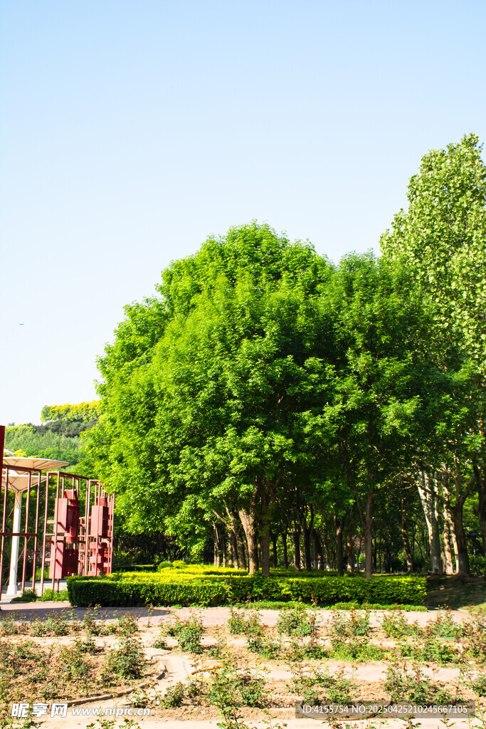 绿树环绕的乡村景致