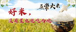 好米五常大米营养美味